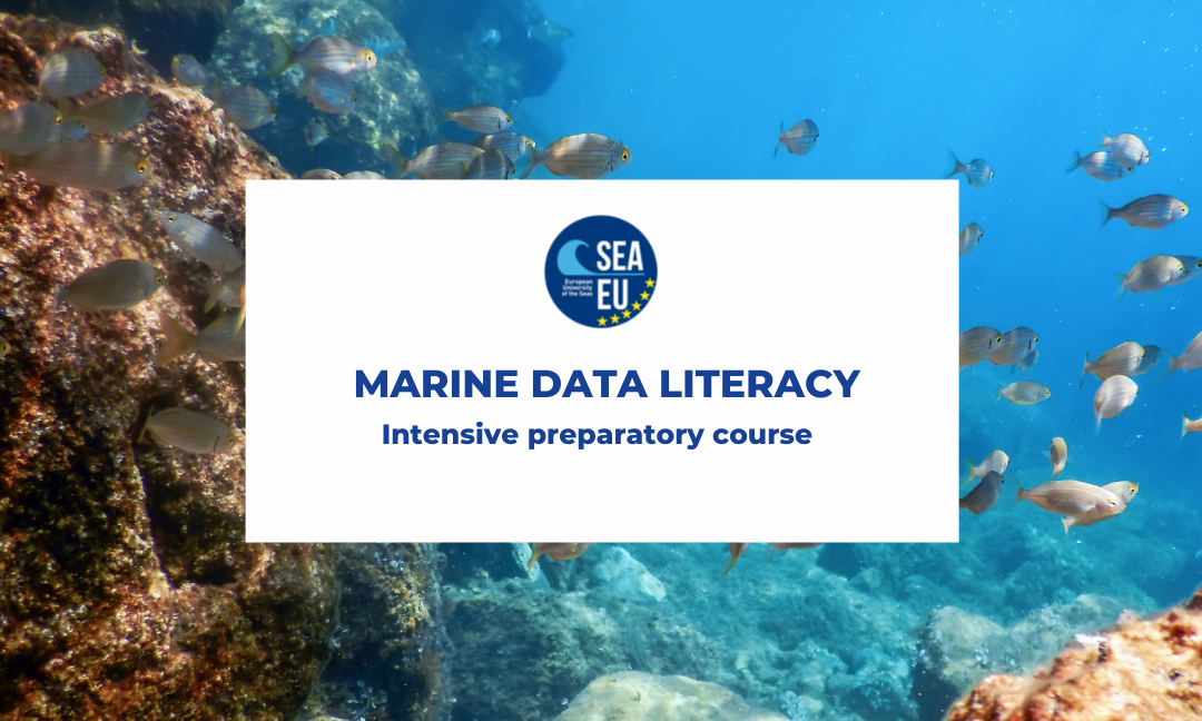 Kurs Marine Data Literacy