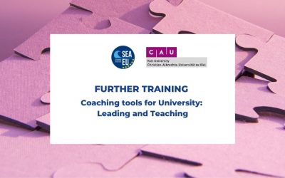 Kurs Coaching tools for University: Leading and Teaching