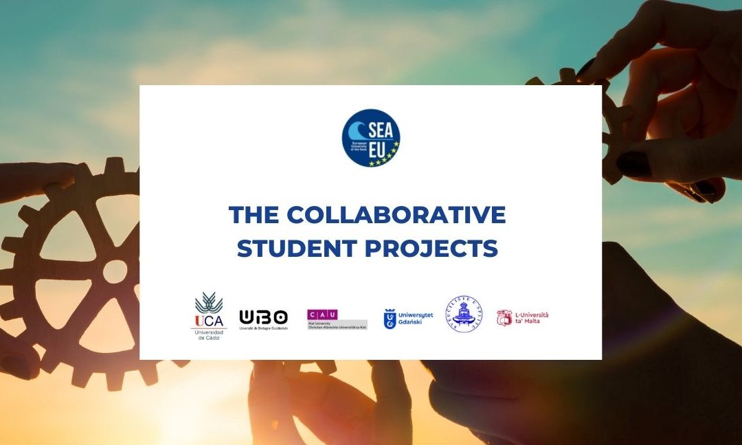 The Collaborative student projects