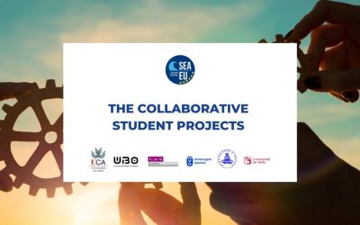 The Collaborative student projects