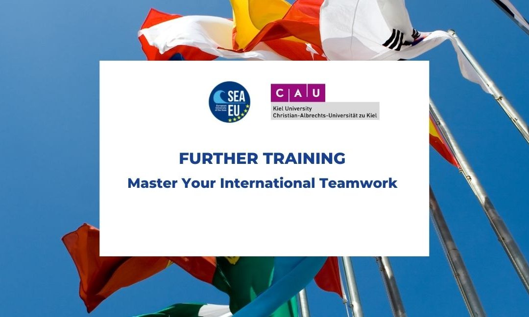 Kurs Master Your International Teamwork