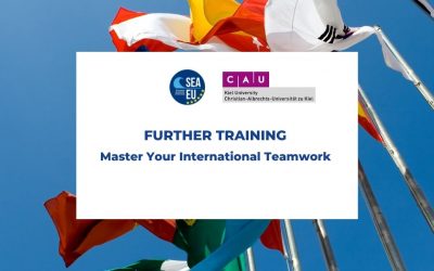 Kurs Master Your International Teamwork
