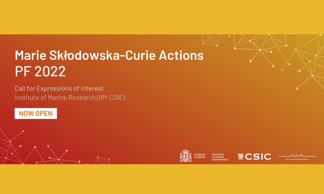 Marie Sklodowska-Curie Actions Postdoctoral Fellowships 2022