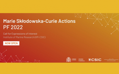 Marie Sklodowska-Curie Actions Postdoctoral Fellowships 2022