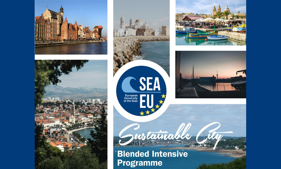 Blended Intensive Program „Sustainable City”