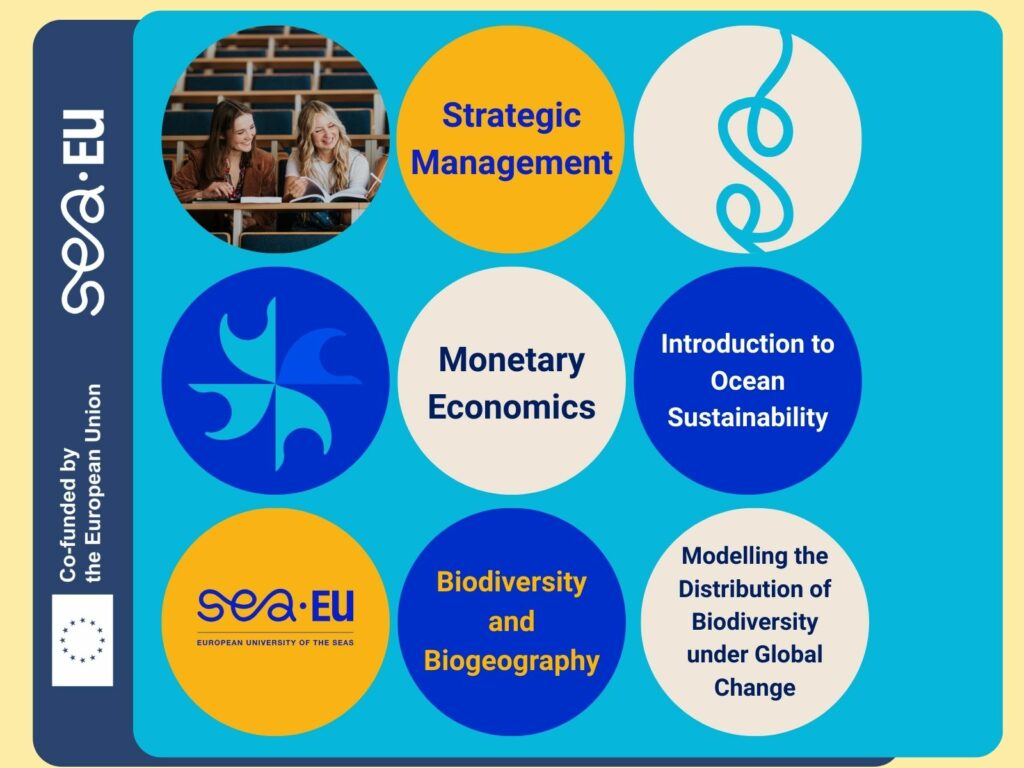 Grafika promująca kursy