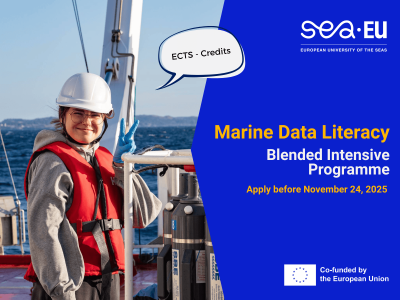 43 - Newsletter, Oferty (2)