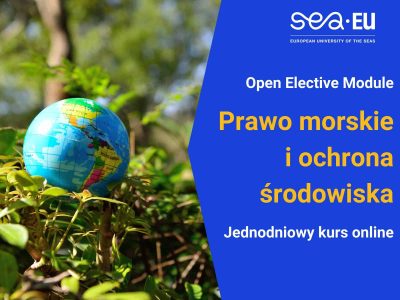 43 - Newsletter, Oferty (6)