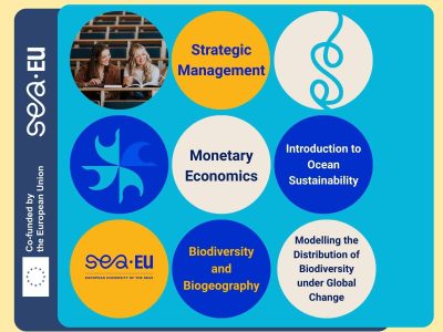 Grafika promująca kursy