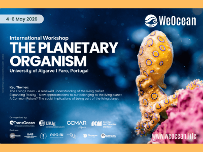 43 - Newsletter, Oferty AKTUALNY (2)