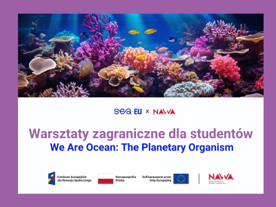 SEA-nergy 43 - Newsletter, Oferty (10)