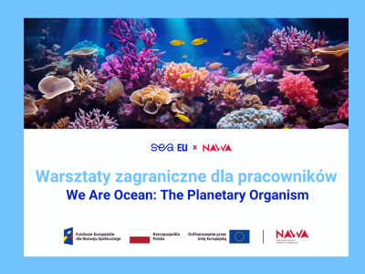 SEA-nergy 43 - Newsletter, Oferty (11)