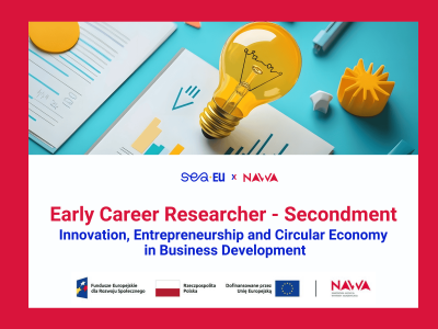 SEA-nergy 43 - Newsletter, Oferty